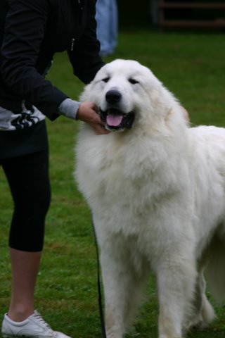 Publication : du Mas de la Valliere