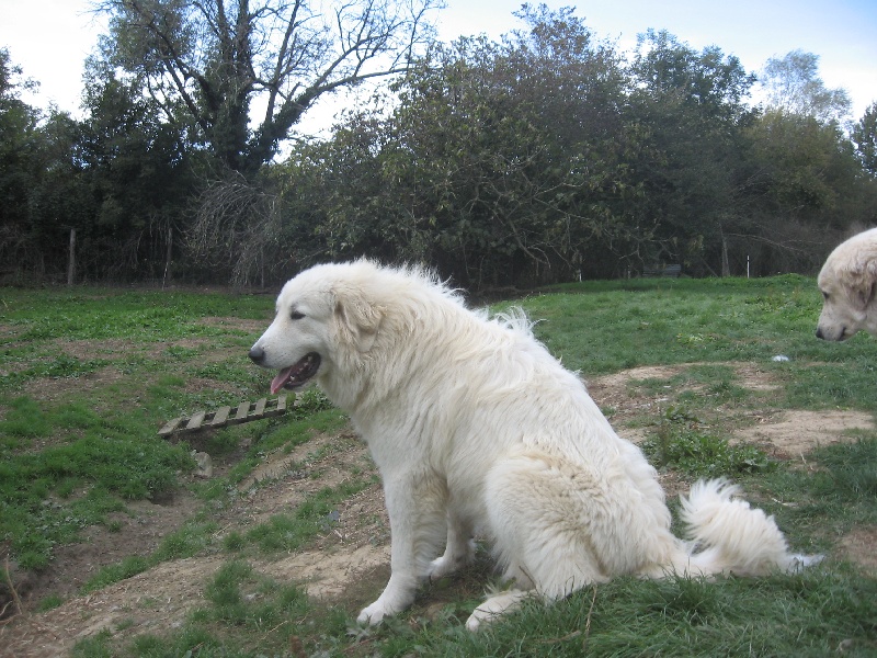 Publication : Du neouvielle