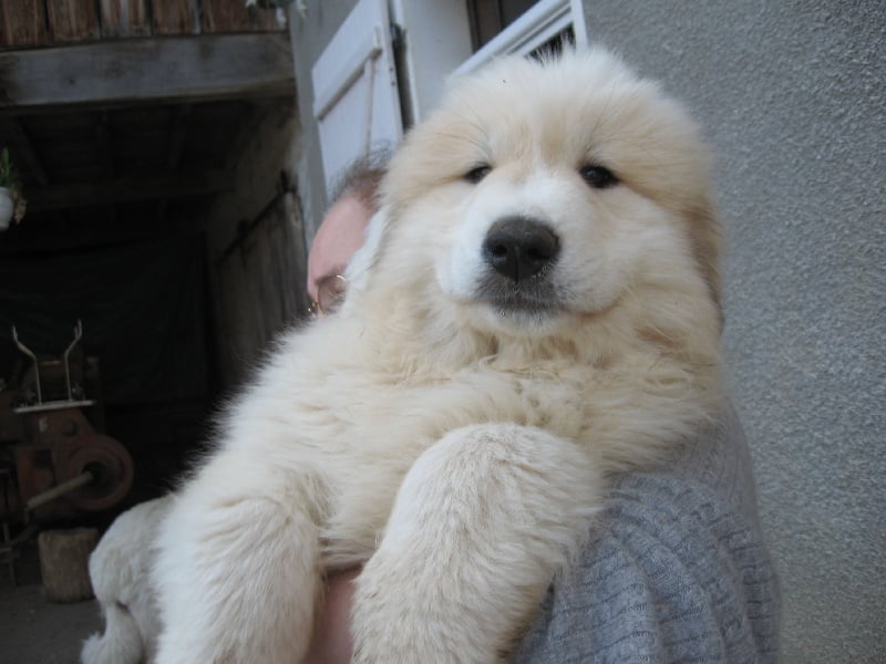 Publication : Du neouvielle