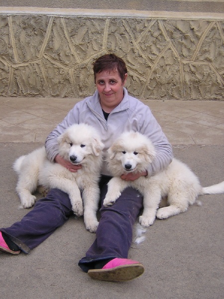 Publication : du Mas de la Valliere