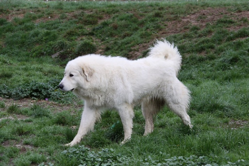 Publication : Du neouvielle