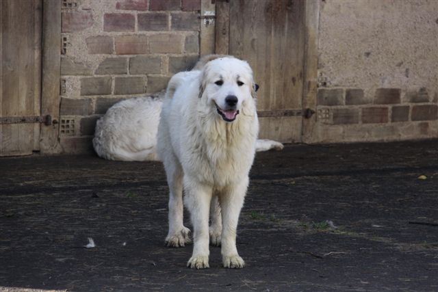 Publication : Du neouvielle