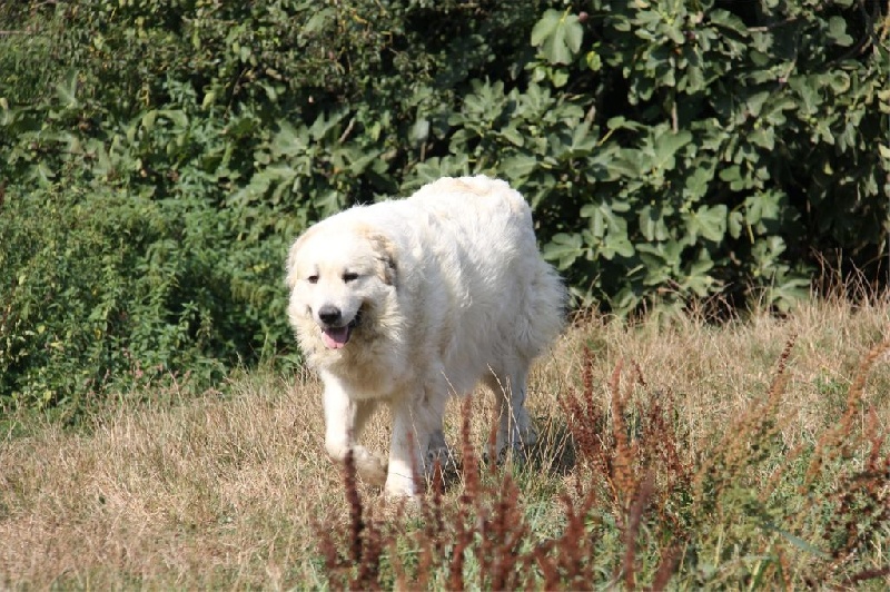 Publication : Du neouvielle