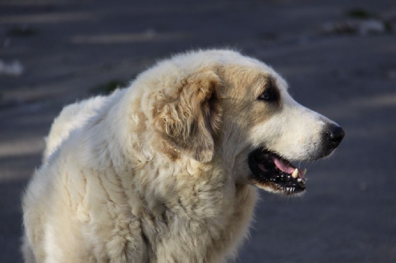 Publication : Du neouvielle