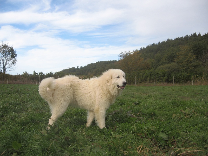 Publication : Du neouvielle