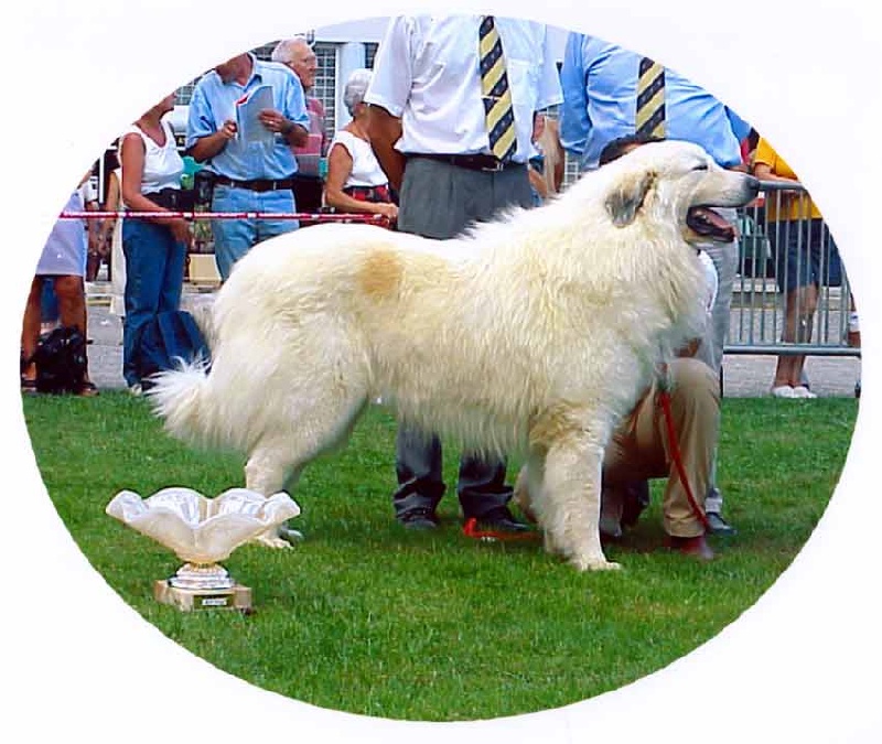 Publication : Du neouvielle