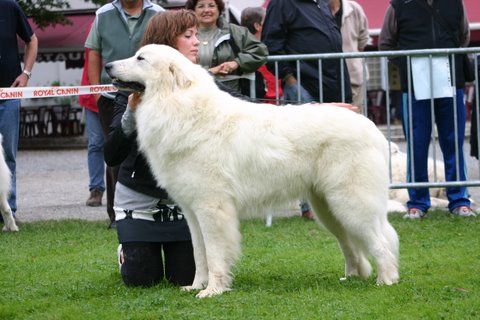 Publication : du Mas de la Valliere