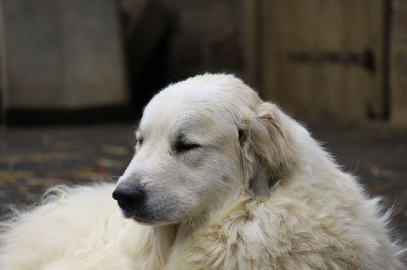 Publication : Du neouvielle