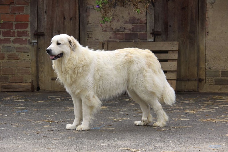 Publication : Du neouvielle