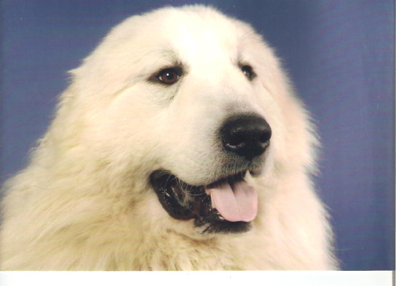 Publication : du Mas de la Valliere