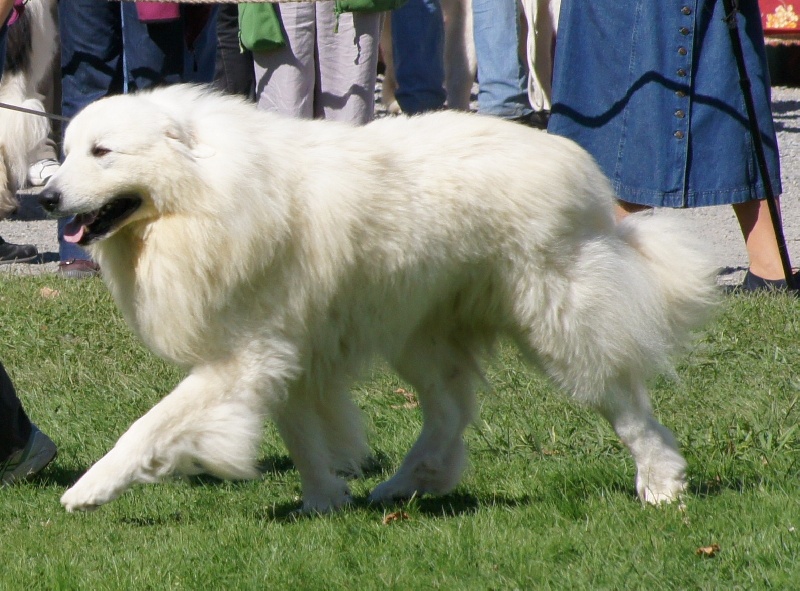 Publication : du Mas de la Valliere