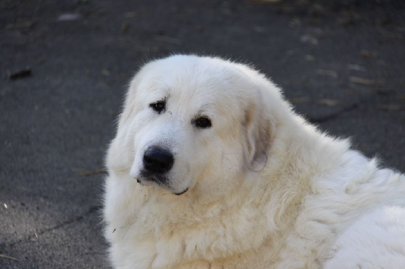 Publication : Du neouvielle