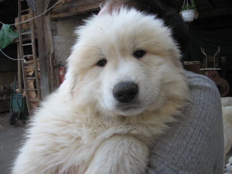 Publication : Du neouvielle