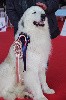 CH. Ouness Du neouvielle - CACIB - Meilleur de race - 3eme chien de Race Française 