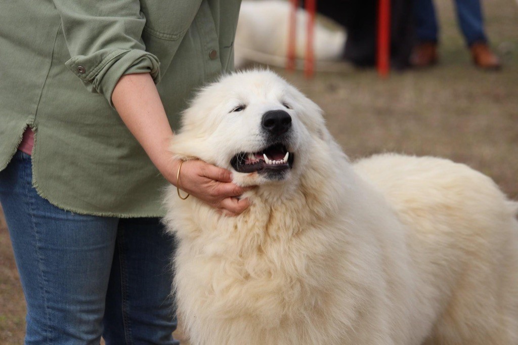 Sanous Du neouvielle - 1ere classe Jeune