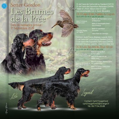 Des brumes de la prée