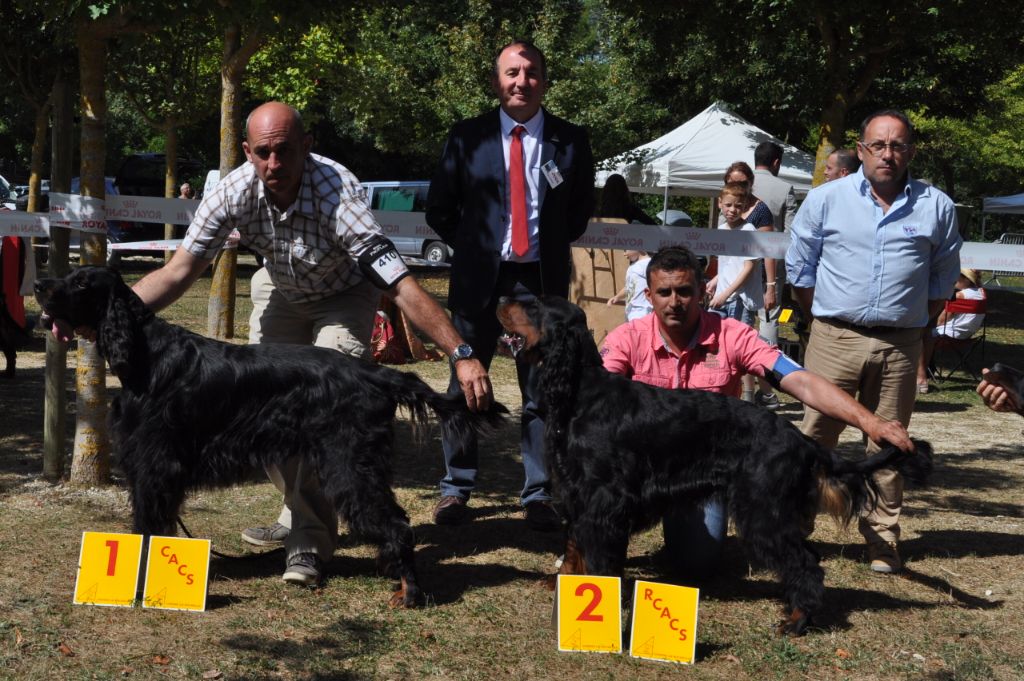 Garou Des brumes de la prée - 1 EXC CACS