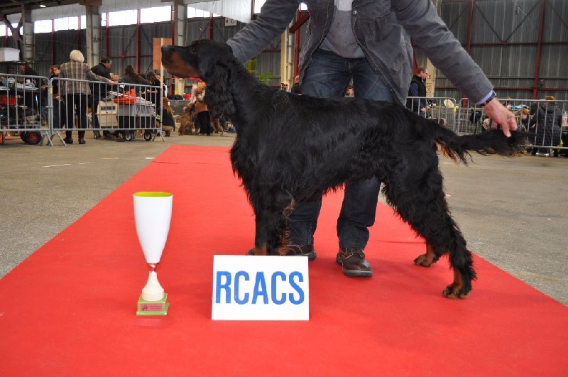 Garou Des brumes de la prée - 1 EXC RCACS