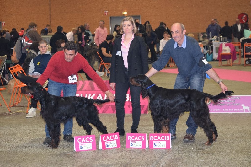 Garou Des brumes de la prée - 2 EXC RCACIB RCACS