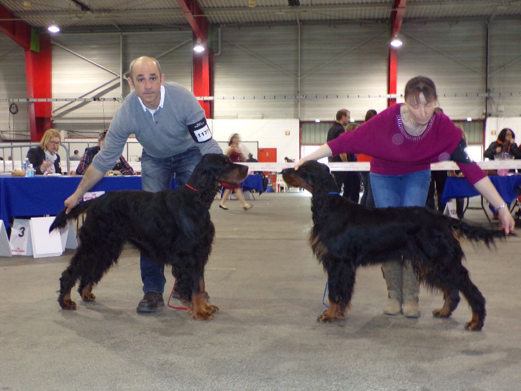 Garou Des brumes de la prée - 1 EXC CACIB CACS BOB 2ème au 7ème Groupe