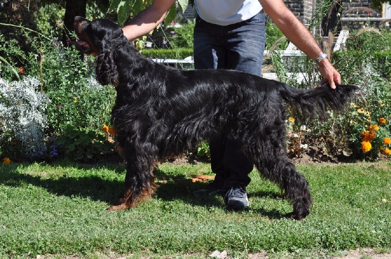 Garou Des brumes de la prée - 1 EXC RCACS