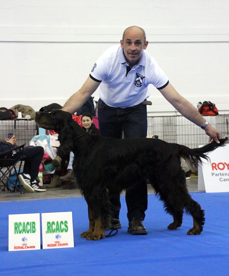 Garou Des brumes de la prée - 1 EXC RCACIB RCACS