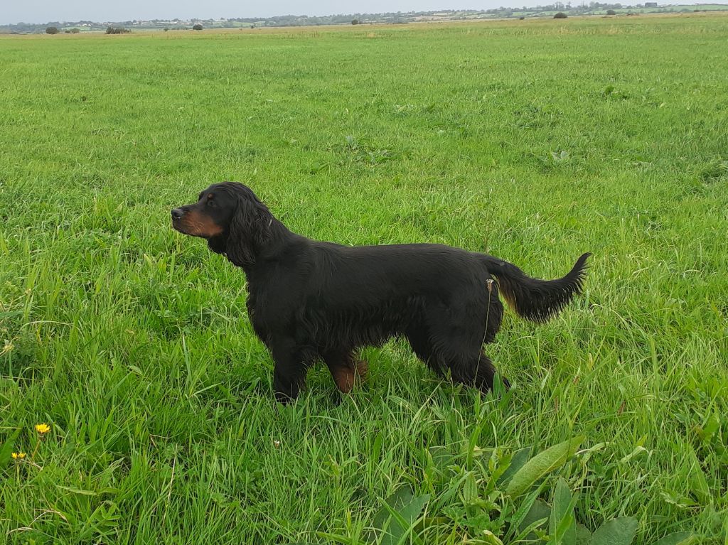 Publication : du Mas d'Eyraud Auteur : JF MERET