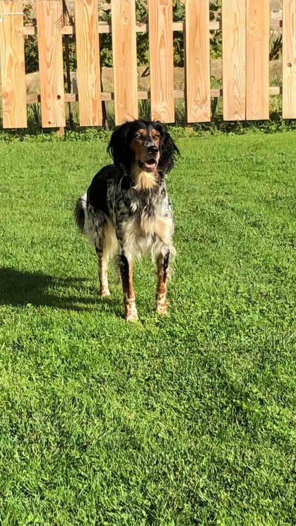 Publication : du Mas d'Eyraud Auteur : lm