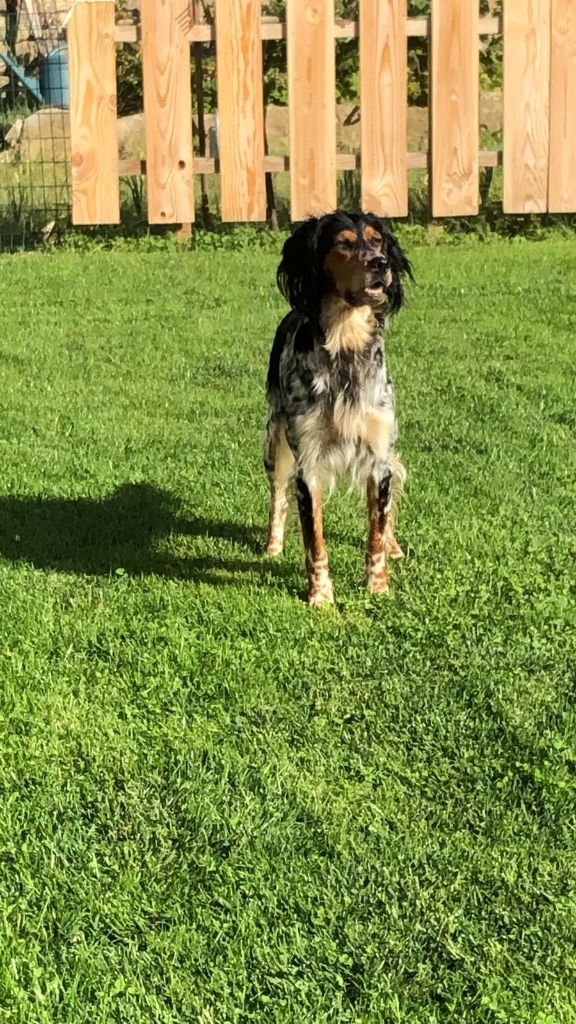 Publication : du Mas d'Eyraud Auteur : lm