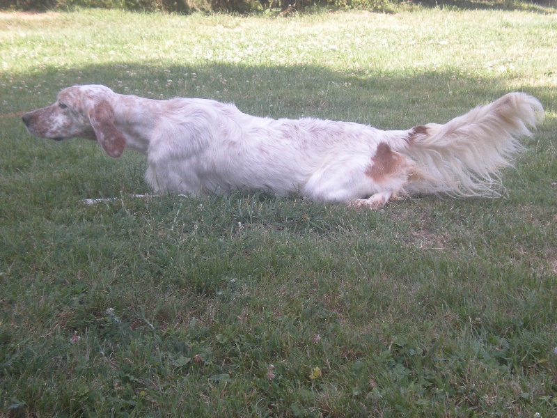 Publication : du Mas d'Eyraud