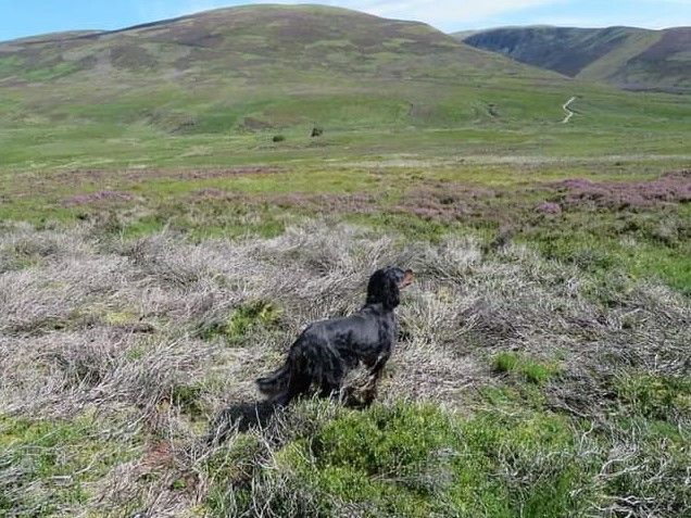 Publication : du Mas d'Eyraud Auteur : JF MERET