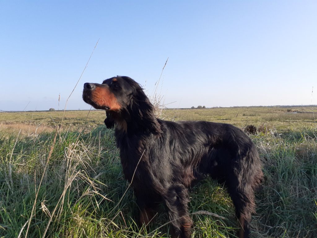 Publication : du Mas d'Eyraud Auteur : JF MERET