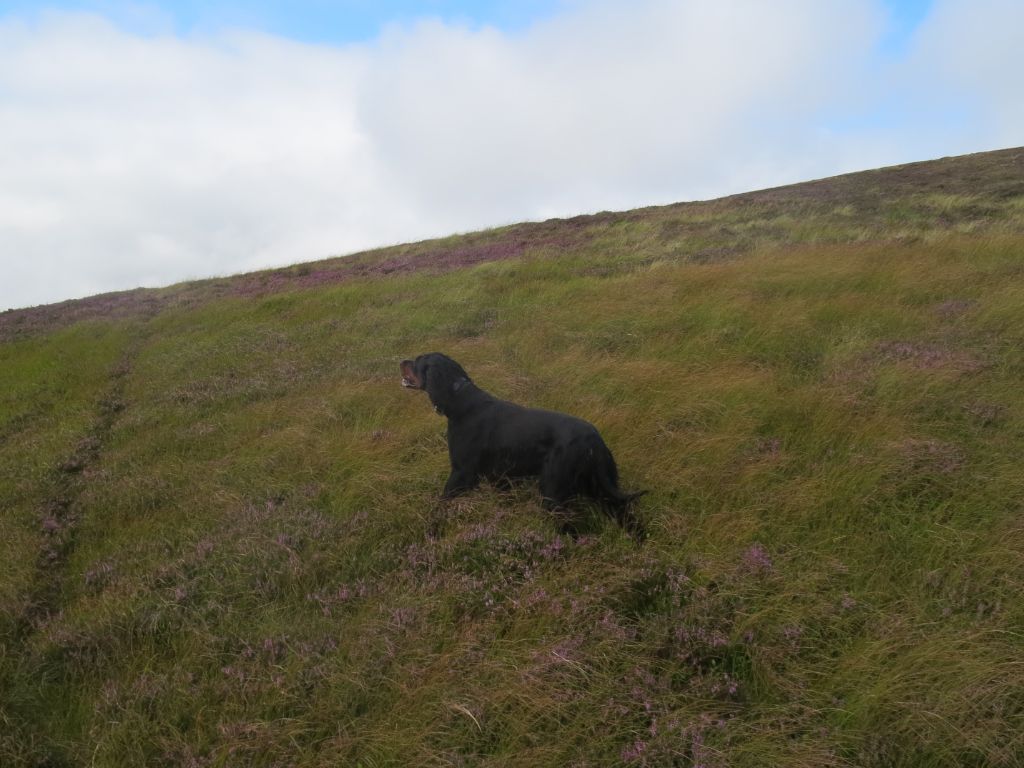 Publication : du Mas d'Eyraud Auteur : JF MERET