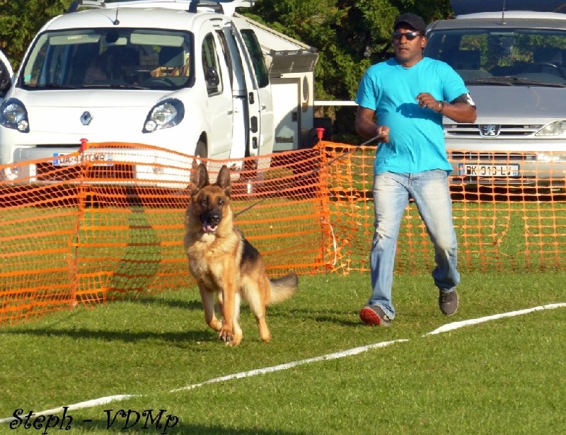 CH. Iorga du Meolion - 1ère excellent