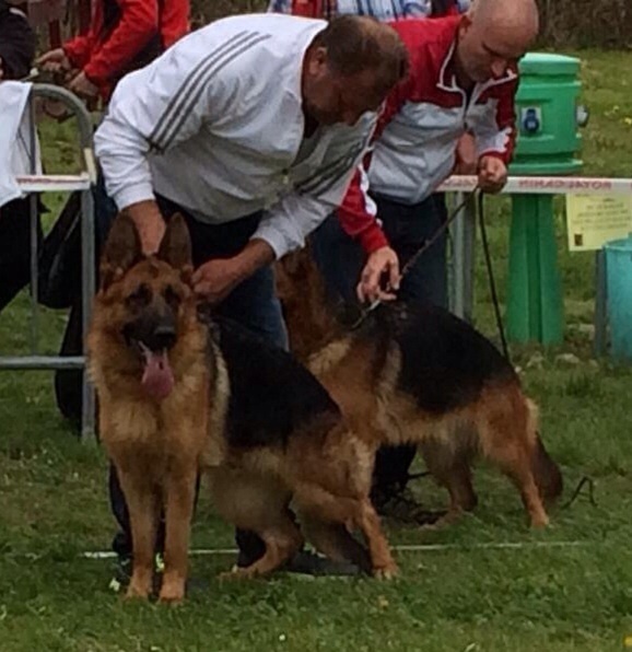 CH. Iorga du Meolion - 1ère