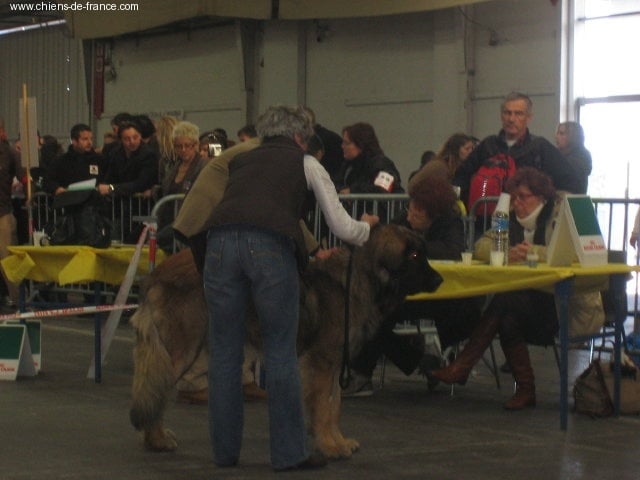 Cessna - sovereign von Mandelweg - 4e TB en CJM