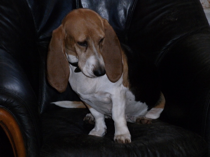 Uble (Sans Affixe) - 1ER TRES BON