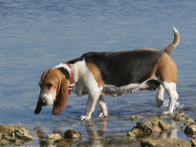 Uble (Sans Affixe) - 3 ème exc en classe ouverte