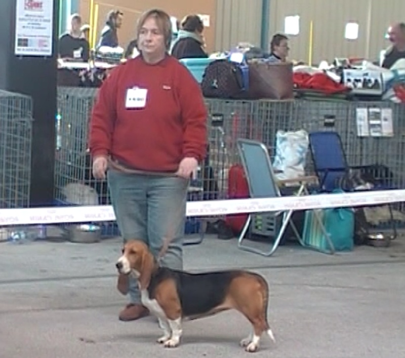 CH. Aramis du cheval du marquet - 1er excellent en classe champion