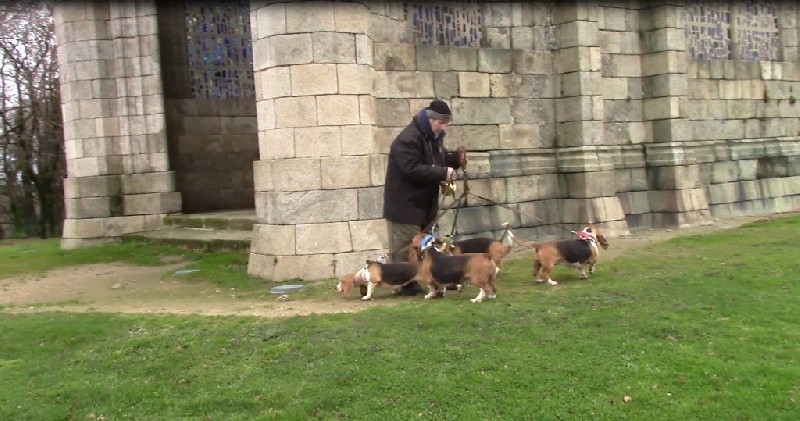 CH. Chivas du cheval du marquet - 110 PTS