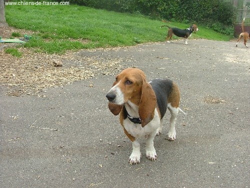 Uble (Sans Affixe) - 3 EME EXCELLENT EN CLASSE OUVERTE