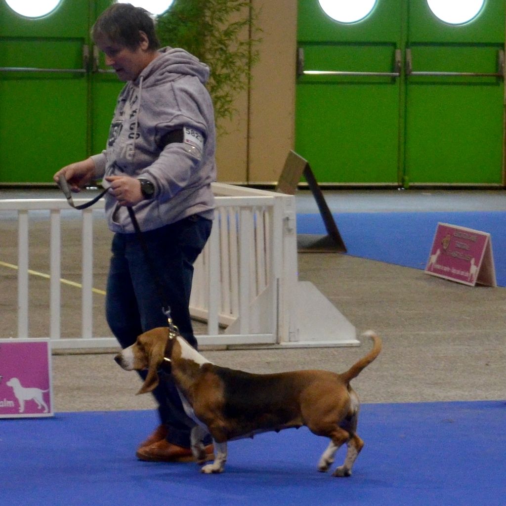 Liloo (Sans Affixe) - RCACS EN CLASSE INTERMEDIAIRE