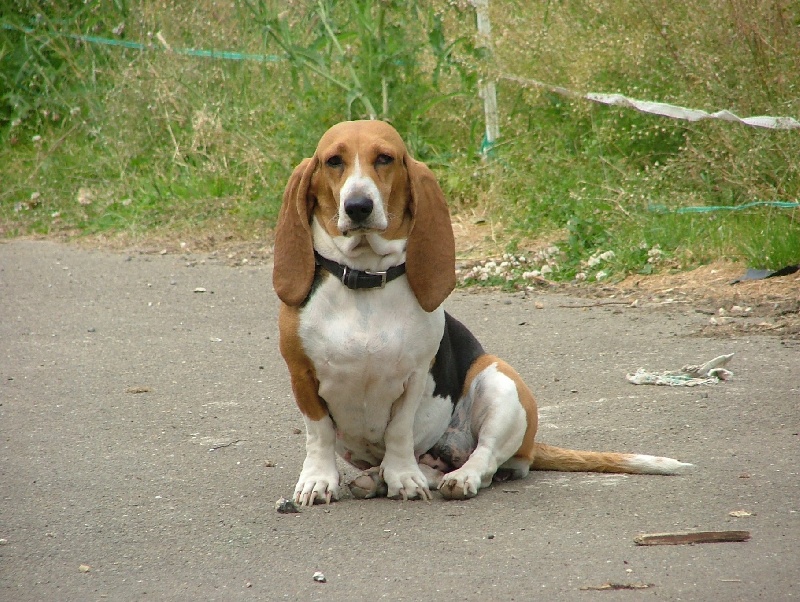 Uble (Sans Affixe) - 3 ème exc en classe ouverte