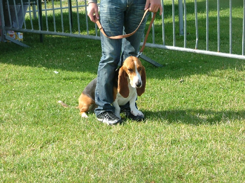 Atchoum du reve de tachou - RCACS