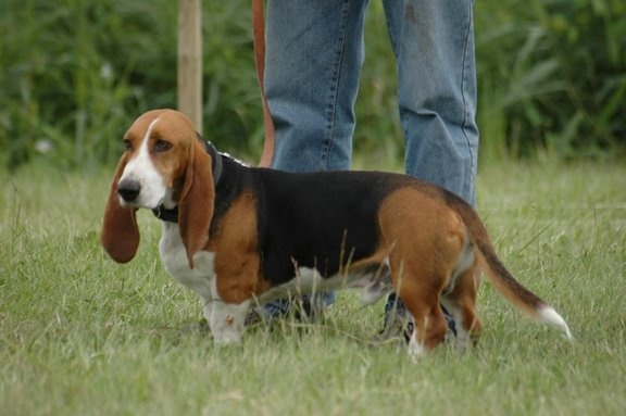 Atchoum du reve de tachou - EXCELLENT NON CLASSE