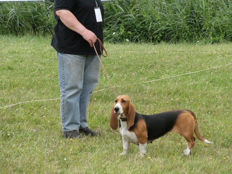 CH. Aramis du cheval du marquet - RCACS