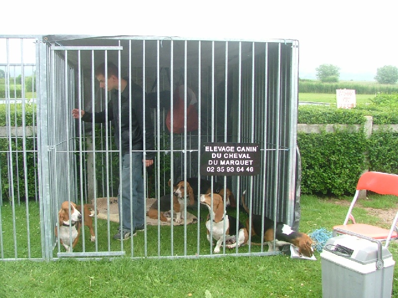 Atchoum du reve de tachou - CACS