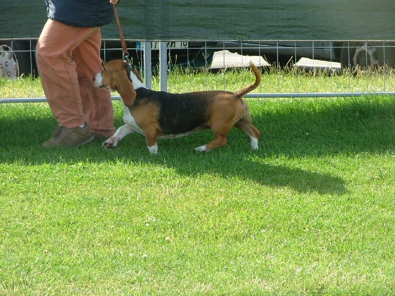 Babou (Sans Affixe) - 1 excellent en classe ouverte