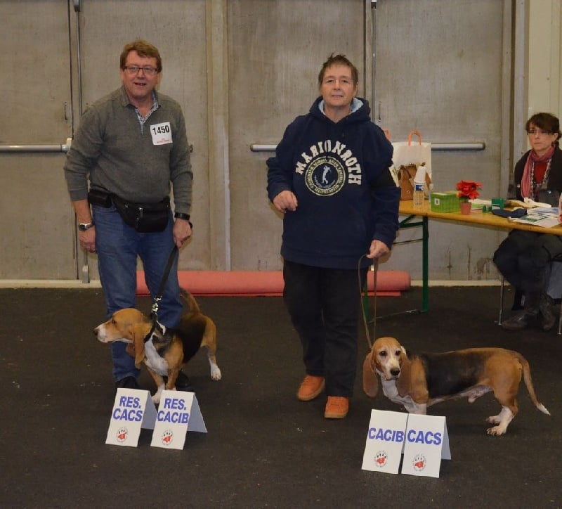 CH. Chivas du cheval du marquet - CACS / CACIB/ MEILLEURS DE SEXE OPPOSE