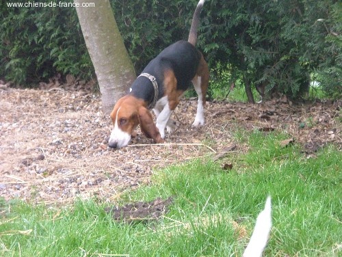 Atchoum du reve de tachou - 3 EME EXCELLENT EN CLASSE OUVERTE